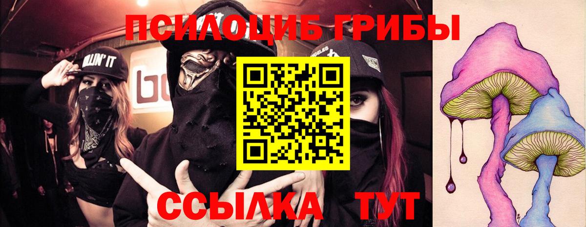 Псилоцибиновые грибы GOLDEN TEACHER Мичуринск