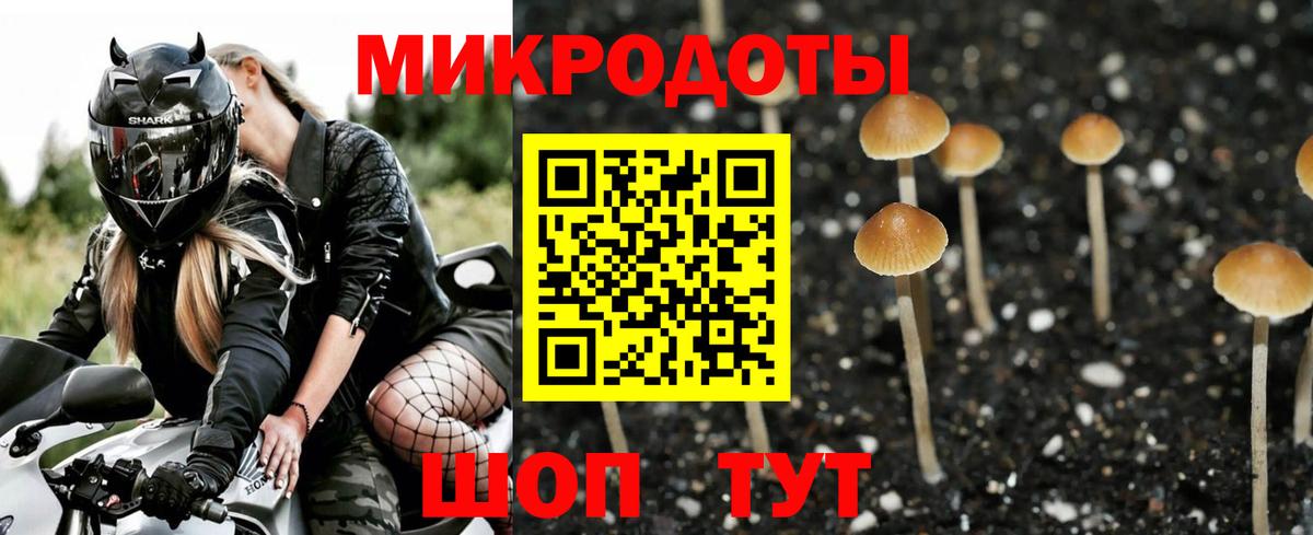 Мичуринск  где купить наркоту  Вход с VPN  Галлюциногенные грибы Cubensis 
